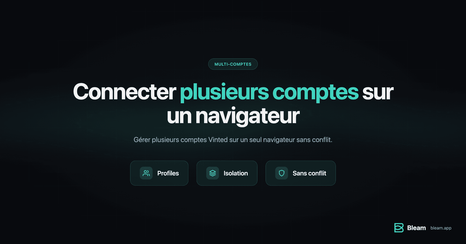 Connecter plusieurs comptes Vinted sur un navigateur